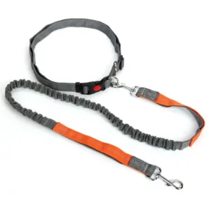 Adjustable Retractable Dog Leash Multi-functional Bungee Design