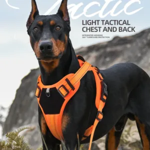 No-Pull Reflective Dog Harness | Adjustable Nylon Pet Vest for All Sizes